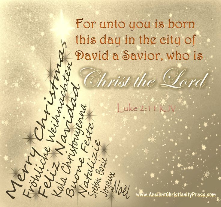 Luke 2 11 14 For Unto You Is Born This Day In The City Of David A 
