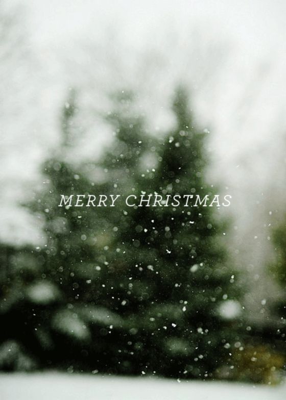 Merry Christmas Photography Quote Pictures, Photos, and Images for
