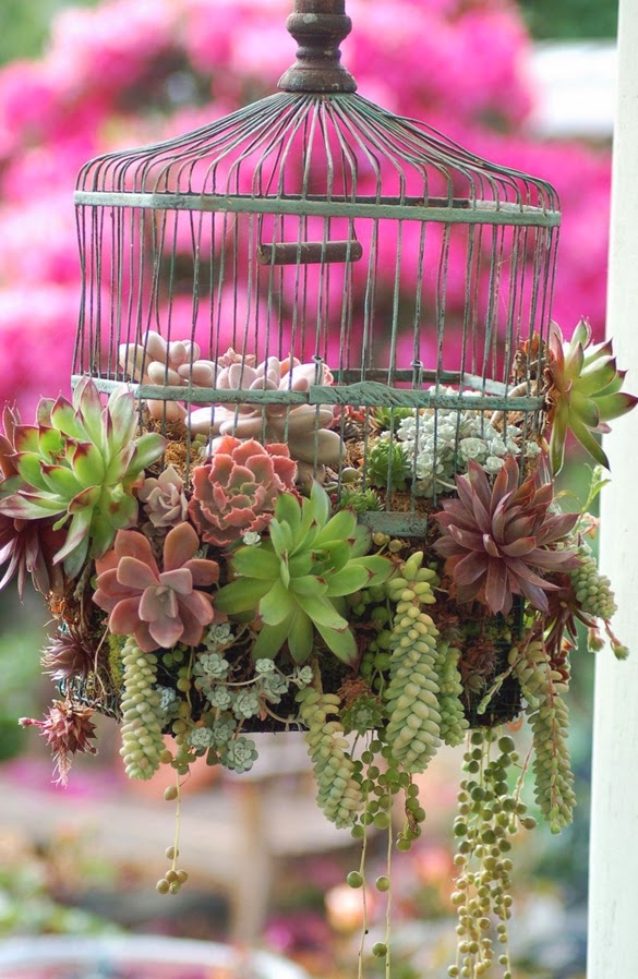 DIY garden birdcage