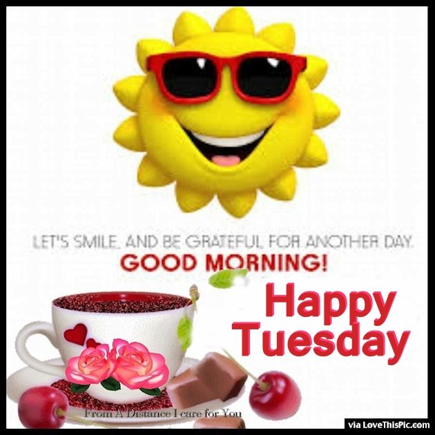 Lets Be Grateful For This Day Good Morning Happy Tuesday Pictures, Photos, and Images for