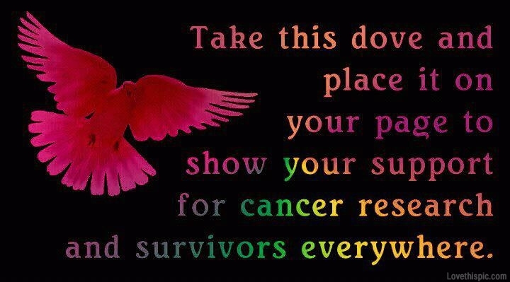 cancer awareness cancer awareness