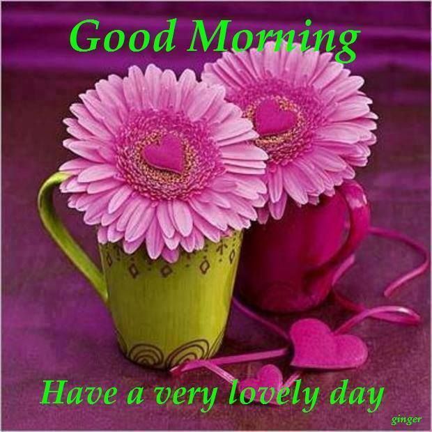 Good Morning Have A Very Lovely Day Pictures, Photos, and Images for Facebook, Tumblr, Pinterest