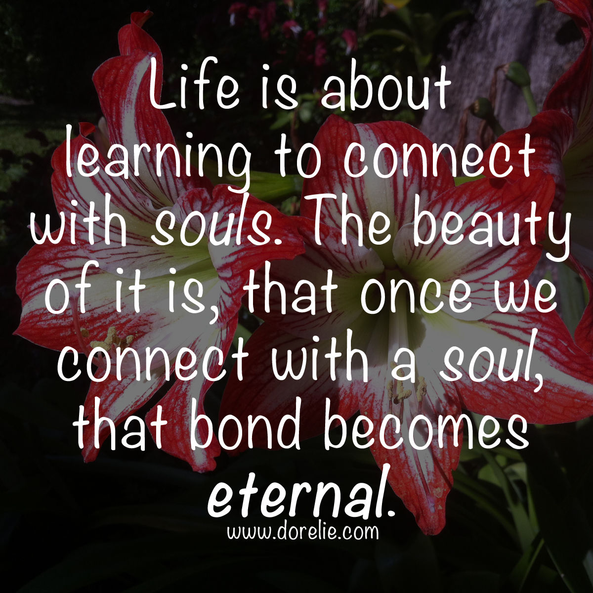 Life Is Pictures, Photos, and Images for Facebook, Tumblr, Pinterest ...