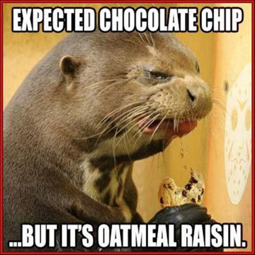 Expected Chocolate Chip But Its Oatmeal Raisin Pictures, Photos, and