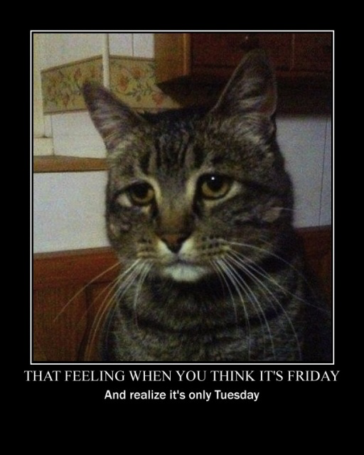 That Feeling When You Think Its Friday Pictures, Photos, and Images for ...