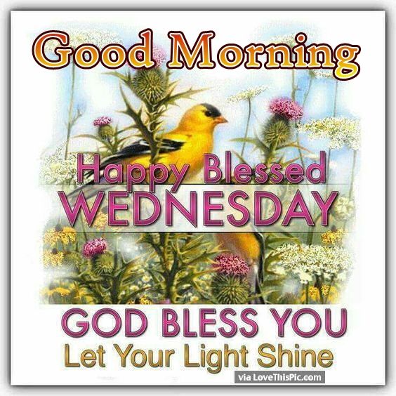 Good Morning Wednesday God Bless You Pictures, Photos, and Images for