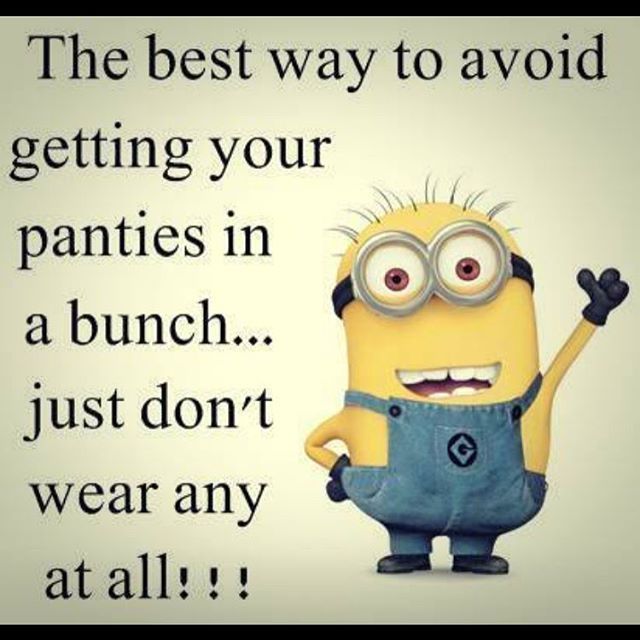 The Best Way To Avoid Getting Your Panties In A Bunch Pictures, Photos