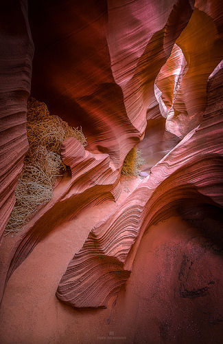 Rattlesnake Canyon Pictures, Photos, and Images for Facebook, Tumblr