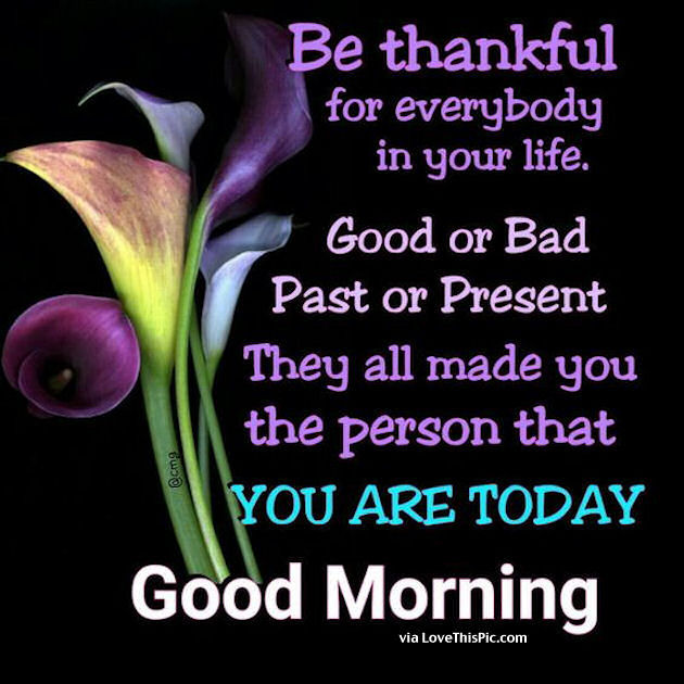 Blessing Positive Good Morning Quotes Good Morning Be Thankful For Everybody In Your Life Pictures, Photos, And  Images For Facebook, Tumblr, Pinterest, And Twitter