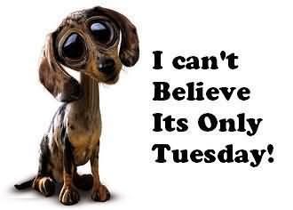I Can't Believe Its Only Tuesday Pictures, Photos, and Images for