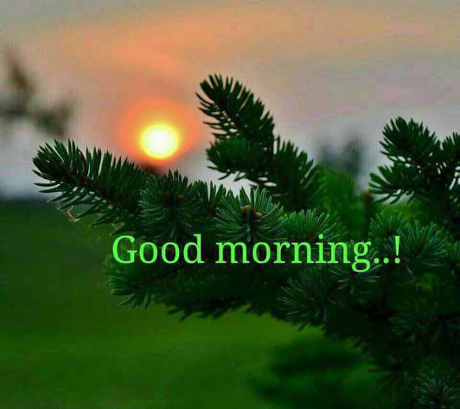 Good Morning Sunrise Image Pictures, Photos, and Images for Facebook, Tumblr, Pinterest, and Twitter