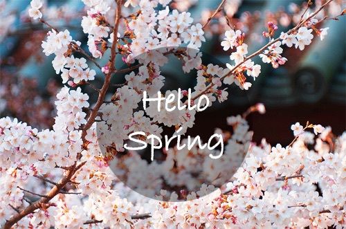 Hello Spring Pictures, Photos, and Images for Facebook, Tumblr ...