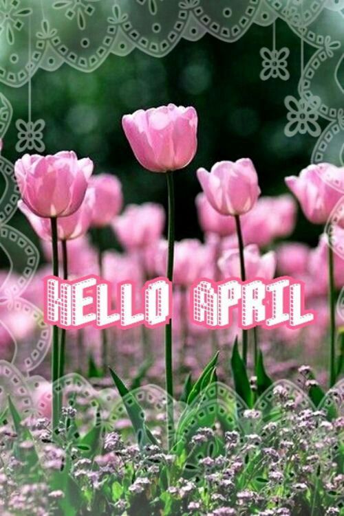 Hello April Pictures Photos And Images For Facebook Tumblr