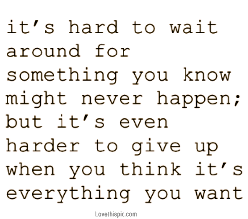 Everything you want