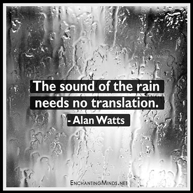 The Sound Of Rain Needs No Translation Pictures, Photos, and Images for