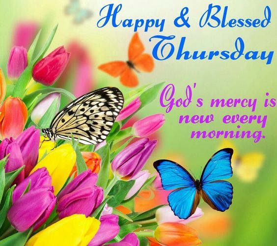 Happy Blessed Thursday Images Happy & Blessed Thursday. God's Mercy Is New Every Morning Pictures,  Photos, And Images For Facebook, Tumblr, Pinterest, And Twitter