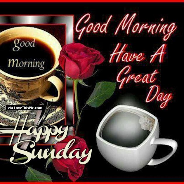 Good Morning Have A Great Day Happy Sunday Pictures Photos And Images For Facebook Tumblr Pinterest And Twitter