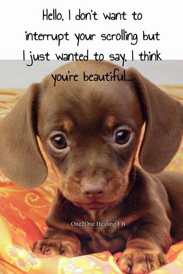 I Just Wanted To Say You Are Beautiful Pictures Photos And Images For
