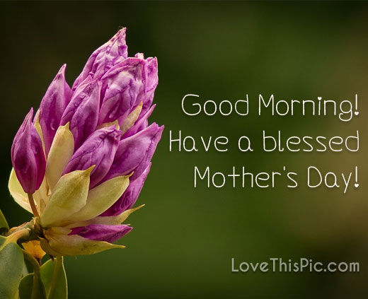 Have A Blessed Mother S Day Good Morning Have A Blessed Mother's Day Pictures, Photos, And Images For  Facebook, Tumblr, Pinterest, And Twitter