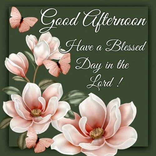 Good Afternoon Blessings Quotes Good Afternoon, Have A Blessed Day In The Lord Pictures, Photos, And Images  For Facebook, Tumblr, Pinterest, And Twitter