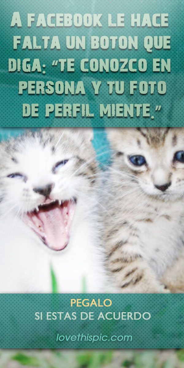 Tu perfil miente Tu perfil miente