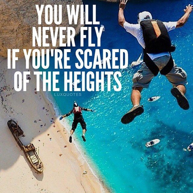 Never fly