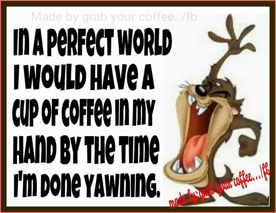 In A Perfect World Pictures, Photos, and Images for Facebook, Tumblr, Pinterest, and Twitter