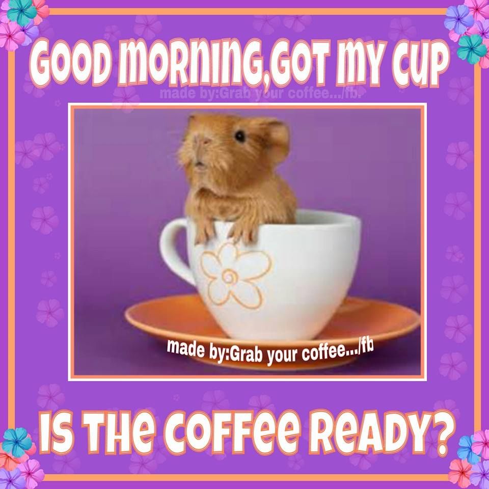 Good Morning Is The Coffee Ready?? Pictures, Photos, and Images for