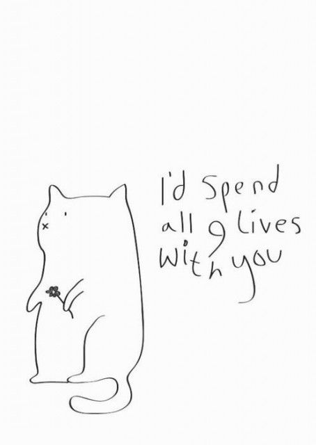 Id spend all 9 lives with you