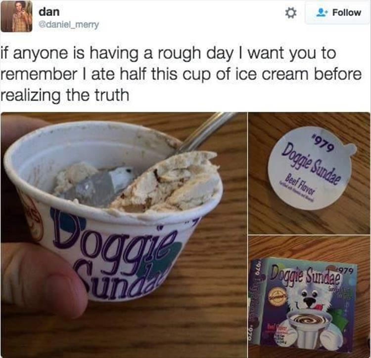 If Anyone Is Having A Rough Day Pictures, Photos, and Images for ...