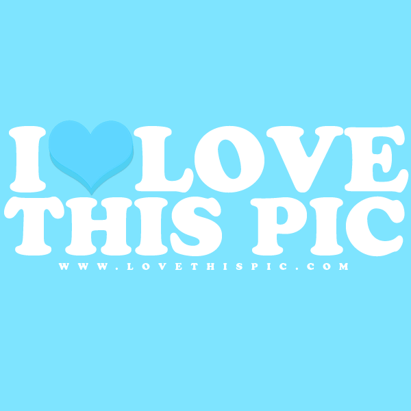 I love this pic gif
