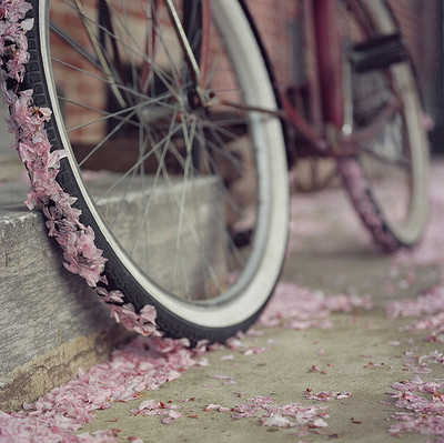 Petals On A Bike