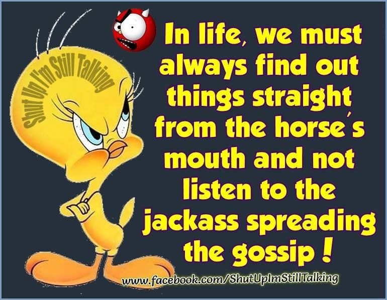 In Life We Must Always Find Out Things Straight From The Horse's Mouth