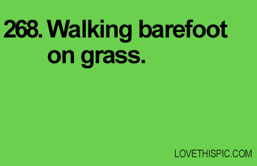 268-grass 268-grass