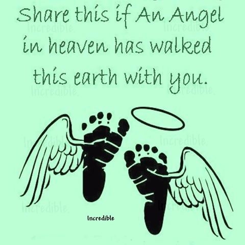 share this is share this is