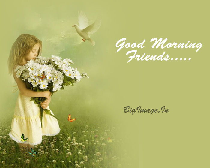 Good Morning Friends Pictures, Photos, and Images for Facebook, Tumblr ...