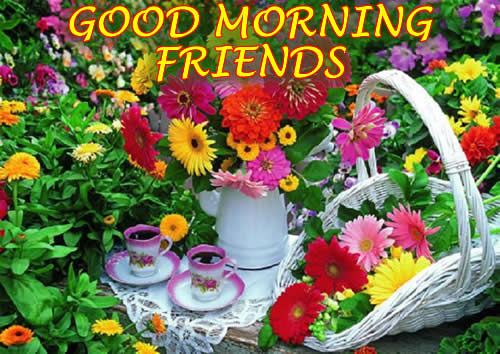Good Morning Friends Pictures, Photos, and Images for Facebook, Tumblr ...