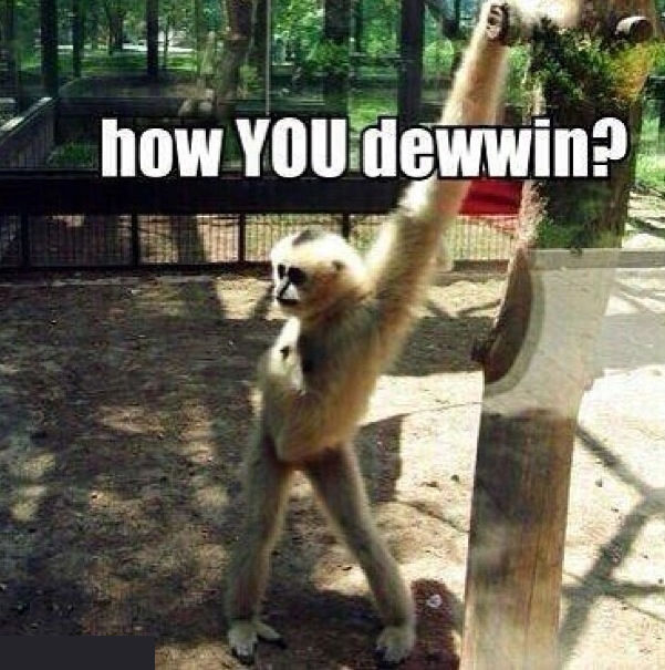 How You Dewin How You Dewin