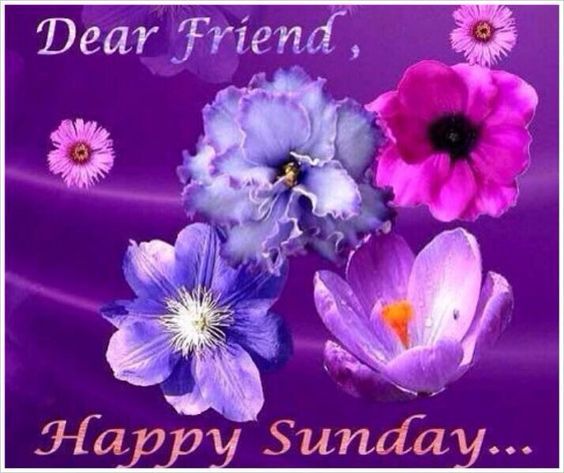 Happy Sunday My Friend Dear Friend Happy Sunday Pictures, Photos, And Images For Facebook, Tumblr,  Pinterest, And Twitter