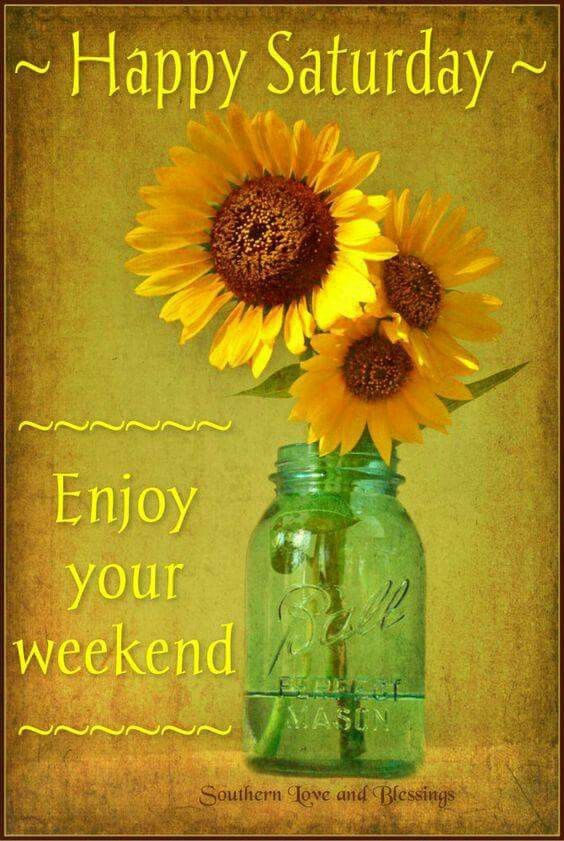 happy-saturday-pictures-photos-and-images-for-facebook-tumblr