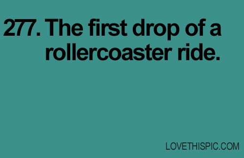 277-rollercoaster