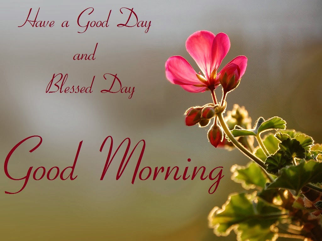 Good Morning And Blessed Day Have A Good Day And Blessed Day, Good Morning Pictures, Photos, And Images  For Facebook, Tumblr, Pinterest, And Twitter