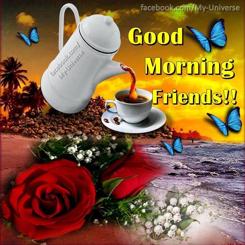 Good Morning Friends!! Pictures, Photos, and Images for Facebook ...