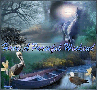 Have A Beautiful Week! Pictures, Photos, and Images for Facebook ...
