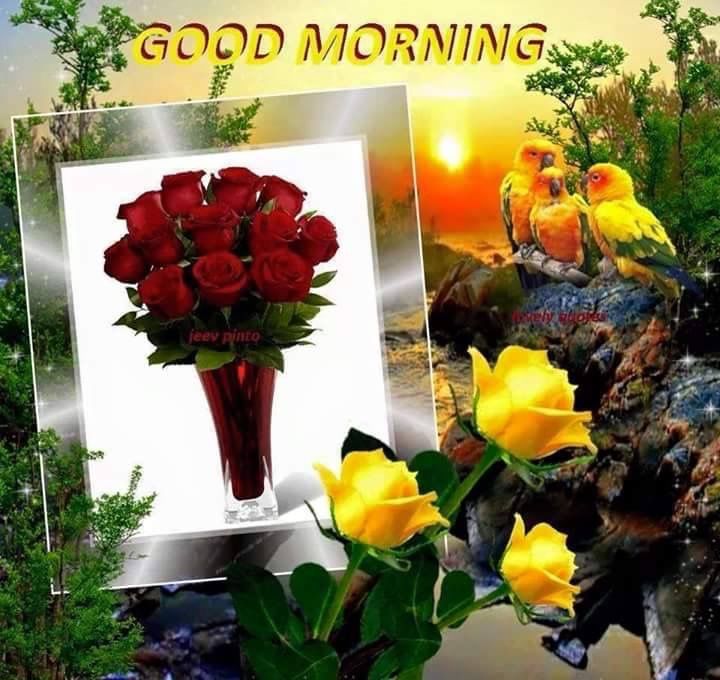 Good Morning Quote With Flowers And Birds Pictures, Photos, and Images