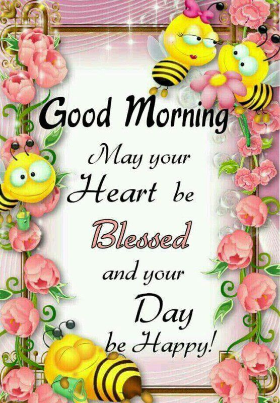 May Your Day Be Blessed Good Morning, May Your Heart Be Blessed And Your Day Be Happy! Pictures,  Photos, And Images For Facebook, Tumblr, Pinterest, And Twitter