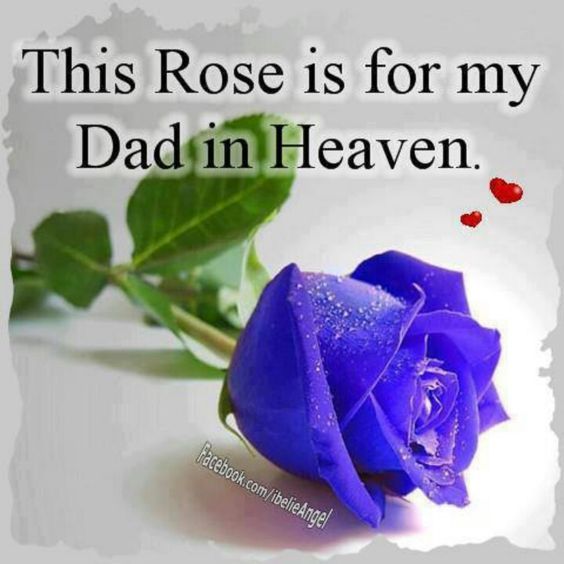 This Rose Is For My Dad In Heaven Pictures, Photos, and Images for