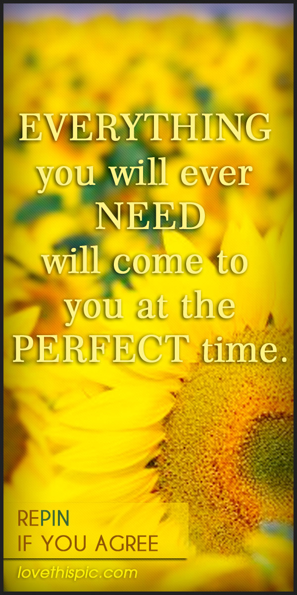 Everything