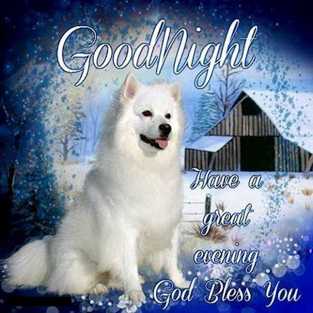 Good Night Have A Great Evening Winter Quote Pictures, Photos, and