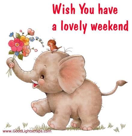 Wish You Have A Lovely Weekend Pictures Photos and Images for Facebook  Tumblr Pinterest and Twitter